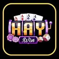 Kingfun 1 haywin
